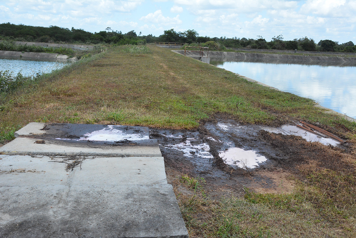 Agência Reguladora apura denúncia de lançamento de esgoto no rio Subaé