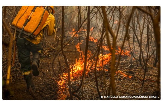 Governo lança painel inédito para rastrear gastos ambientais