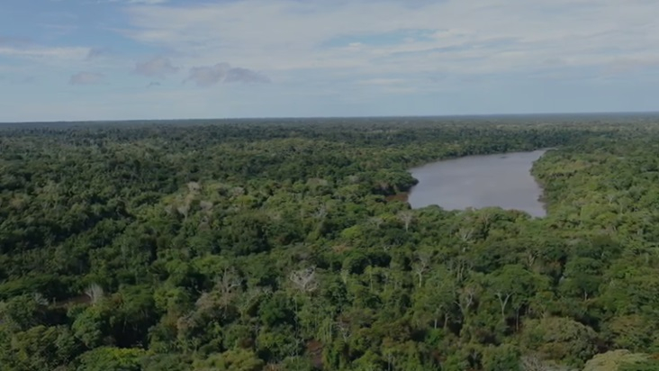 Irmãos confessam assassinato de indigenista desaparecidos na a Amazônia
