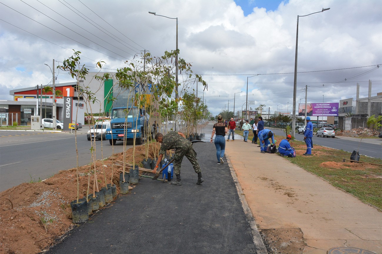 Plantio de mais 70 árvores na avenida Noide Cerqueira marca dia comemorativo
