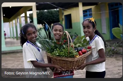 Prazo para adesão ao Novo Pronacampo é prorrogado até 30 de novembro