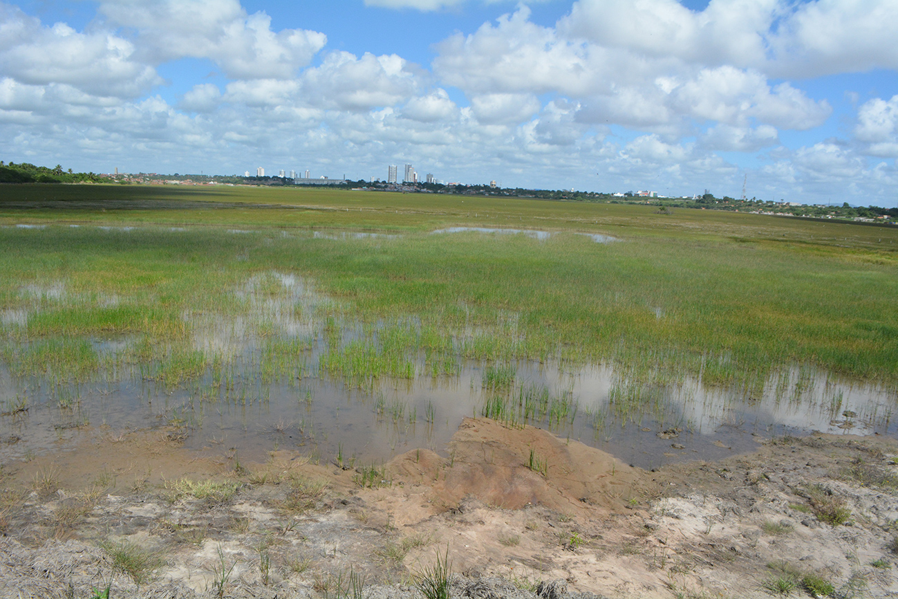 Prefeitura promove a limpeza e requalificação da Lagoa Salgada no Dia Mundial da Água