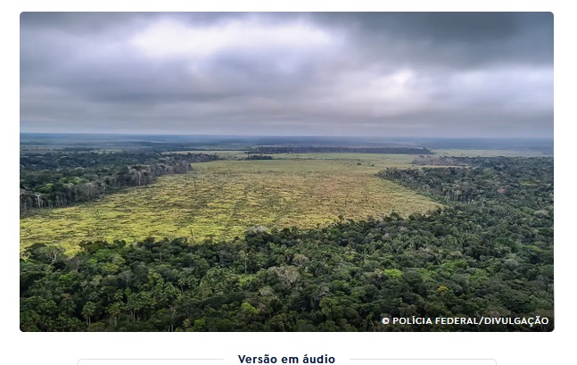 Sociedade civil vê retrocesso grave em queda de vetos de PL Ambiental